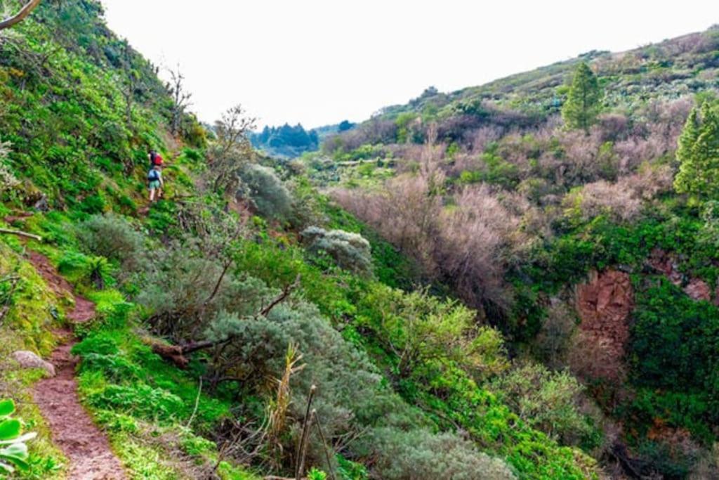 Casa La Veguetilla En San Mateo فيغا دي سان ماتيو المظهر الخارجي الصورة