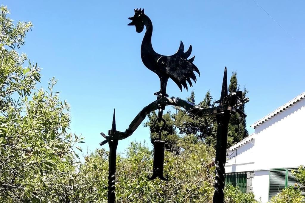 Casa La Veguetilla En San Mateo فيغا دي سان ماتيو المظهر الخارجي الصورة