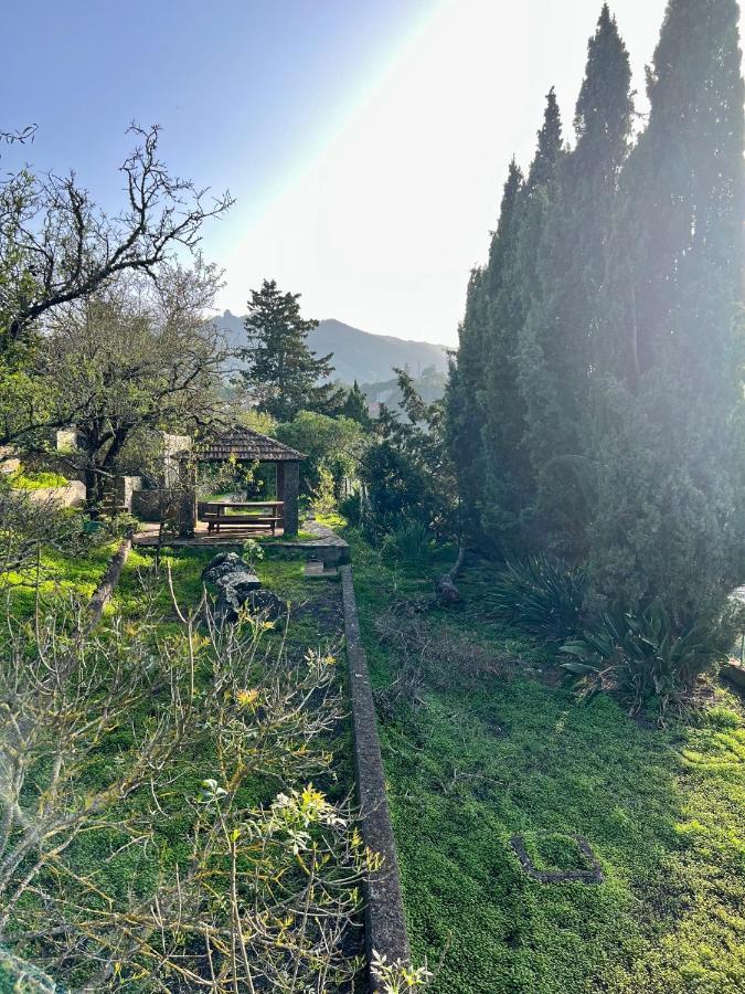 Casa La Veguetilla En San Mateo فيغا دي سان ماتيو المظهر الخارجي الصورة