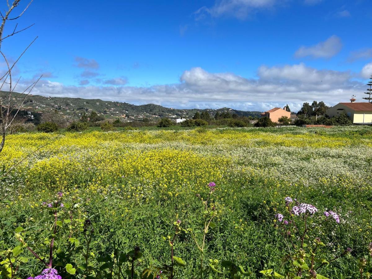 Casa La Veguetilla En San Mateo فيغا دي سان ماتيو المظهر الخارجي الصورة